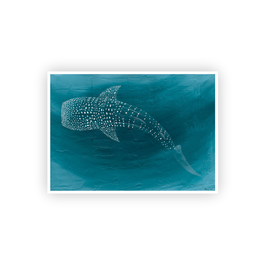 Blue in Ningaloo PRINT