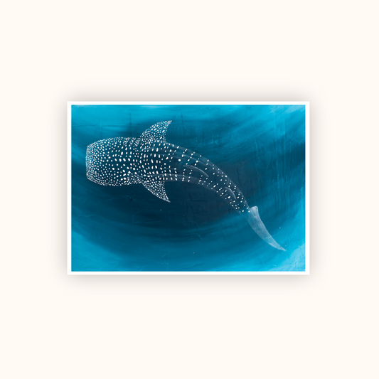 Blue in Ningaloo PRINT